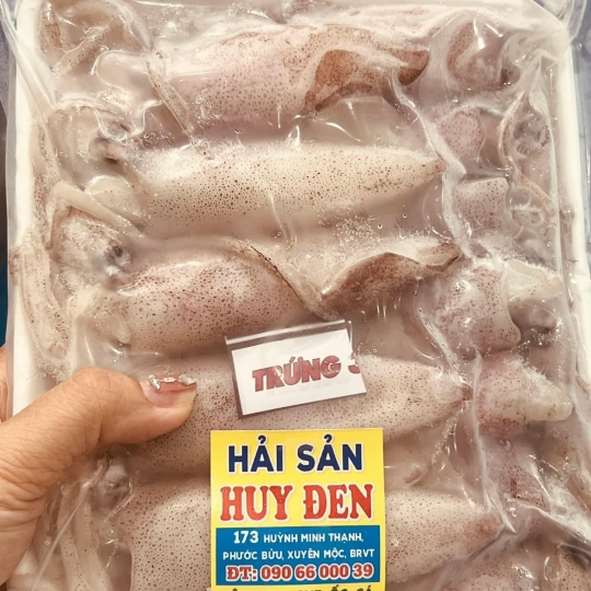 Mực trứng